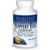Slippery Elm Lozenges, Tangerine, 100 Count