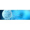 SPERM BOOSTERS FOR STUD DOG - Increase Sperm Count , Fertility reproduction
