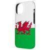 iPhone 14 Welsh Red Dragon Flag of Wales Case