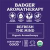Badger - Headache Soother Balm Stick - 0.6 oz.