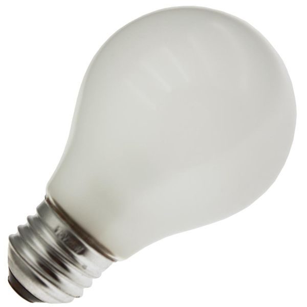 Industrial Performance 25A19/RS 75V, 25 Watt, A19, Medium Screw (E26) Base Light Bulb (1 Bulb)