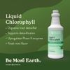Liquid Chlorophyll - Immunity Support, Detox & Cleanse, Chlorophyll Liquid Drops