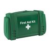 Safety First Aid Evolution Small Case Green, Empty