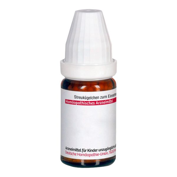 Ginkgo Biloba D 4, 10 g