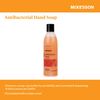 McKesson Liquid Hand Soap - Clean Scent, 48 Count
