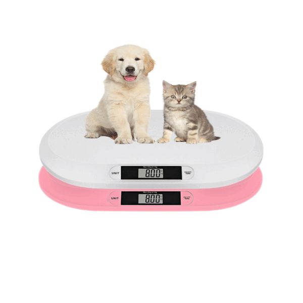 Papa Dog Cat Weighing Scale, White