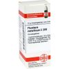 Plumbum Met. C 200 Globules 10 g