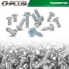 License Plate Screws (100 each/8 different) for Auto Dealers - Bulk quantity