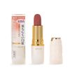 Cezanne Lasting Lip Color N 102