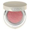 Cosmetic Decorte AQ Blush 02