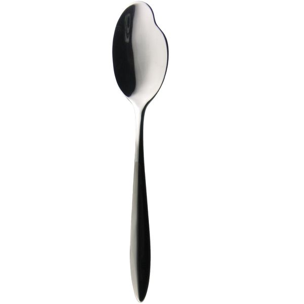 Todai 18-8 Albi Fish Sauce Spoon 005715