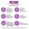 NOW FOODS Holiday Cheer Gift Case With Diffuser & Oils
