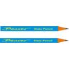 Beaver Pair of Dive Slate Pencils