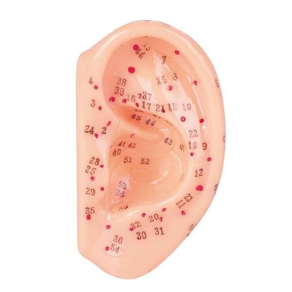 Single Model Ear