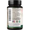 Digestive Enzymes with Probiotics and Bromelain - Extra Strength Probiotic Digestive Health Supplement for Women and Men - Supports Digestion, Gas, Bloating, and Gut Health, Non-GMO - 120 Capsules