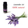 Elora 10ml Lavender Essential Oil, 100% Pure & Natural