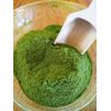 Wheatgrass Powder (Triticum aestivum) Organic 1 oz