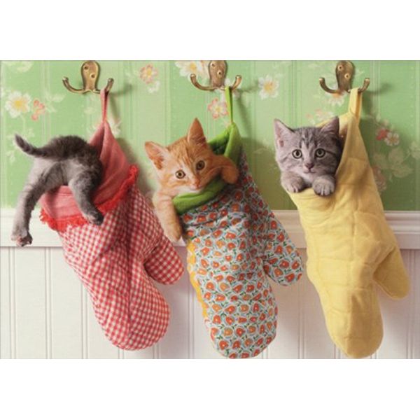 Kittens In Oven Mitts - Avanti Funny Cat Mother's Day Card