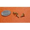 Brass #6  Phillips Flat Head Wood Screw x .375" Length, 200 Pcs