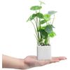 Artificial Assorted Plants, Greenery in White Square Ceramic Pots, Set of 3