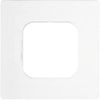 Kopp 342210088 Transparent with Single Switch Frame