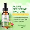 2×60ml Berberine Ceylon Cinnamon Liquid Drops 1500mg PER SERVING