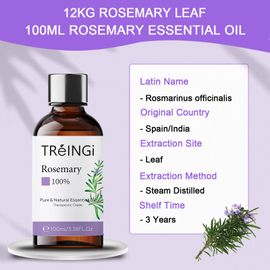 Rosemary Essential Oil, Uses, Benefits, and Blends