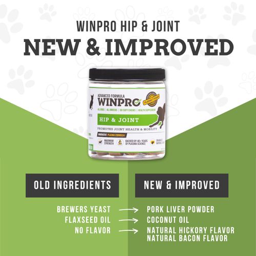 WINPRO Hip & Joint Supplement for Dogs - Plasma Powered Chews for Joint Health & Mobility – Fast-Acting with Collagen & Natural Ingredients for Dogs of All Breeds – 60 Chews – Made in USA