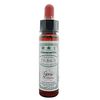 Ainsworth | Gorse Remedy | 1 x 10ml