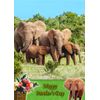Elephant Animal Mothers Day Card