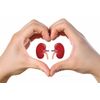 Antiaging pills - KIDNEY CLEANSE COMPLEX - cinnamon - 2 Bottles