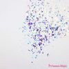 Princess-style Unicorn Glitter Nail Resin Glitter Hologram Moon Star Pastel Mix 4 Colors Set