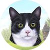 E&S Pets Absorbent Stone Car Coaster, Black & White Cat