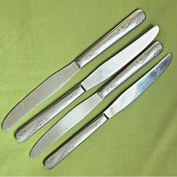 Everbrite Stainless Favorite Pattern 4 Dinner Knives 8 5/8" Glossy Flowers USA