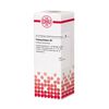 Petroselinum D1 DHU Dilution, 20 ml Lösung