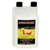 Acti Flex Solution 32 oz