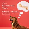 DreamBone Vegetable & Chicken Dog Chews, Rawhide Free, Small, 10-Count (DBC-02029)