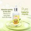 Elizavecca Witch Piggy Hell Pore Galactomyces Pure Ample 50Ml