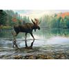 Cobble Hill 1000 Piece Puzzle - Moose Crossing - Sample Poster Included