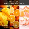 Dr.EAA STYLEMAKE ビタミンC ミネラル (240g, オレンジ味)
