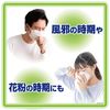 Kobayashi Pharmaceutical Heat-sama Sheets, Adult Cooling Sheets, Mint, 12 Sheets, Gentle on Skin, Weak Acidity