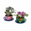 Do It Yourself Ceramic Tea Cup Planters, Craft Kits, 6 Pieces