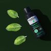 HERBAN COWBOY Dry Spray Deodorant Forest – 2.8 oz | Men’s Dry Spray Deodorant | Enhanced with Parsley, Rosemary & Sage | No Parabens, No Phthalates & Certified Vegan