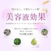 Sepulfe The City Matte Face Powder