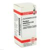 PLUMBUM METALLICUM D 30 Globules 10 g