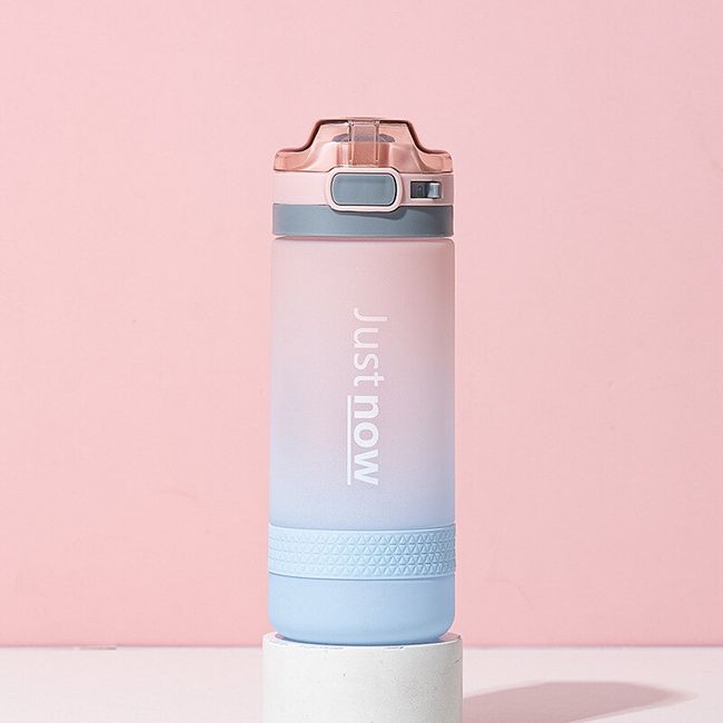 korean plastic water bottle with straw