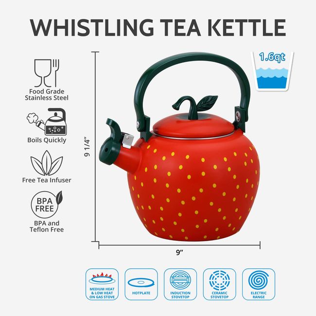 Hot Water Boiler Whistling Tea Kettle for Stovetop Heating Water Kitchen