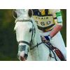 Flair Equine Nasal Strips - Black or White White Singles