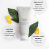 Drybar Crown Tonic Pre-Shampoo Scalp-Balancing Cleanser