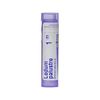 Boiron Ledum Palustre 1M for Insect Bites or Bruising - 80 Pellets
